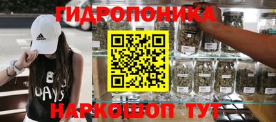 mdpv Владивосток