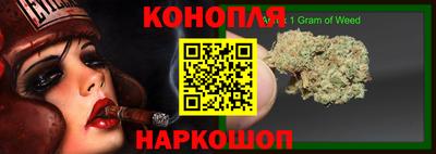 mdpv Владивосток